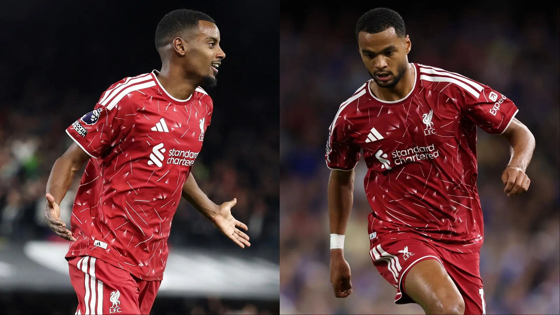 Alexander Isak and Cody Gakpo up for Premier League Player of the Matchweek
