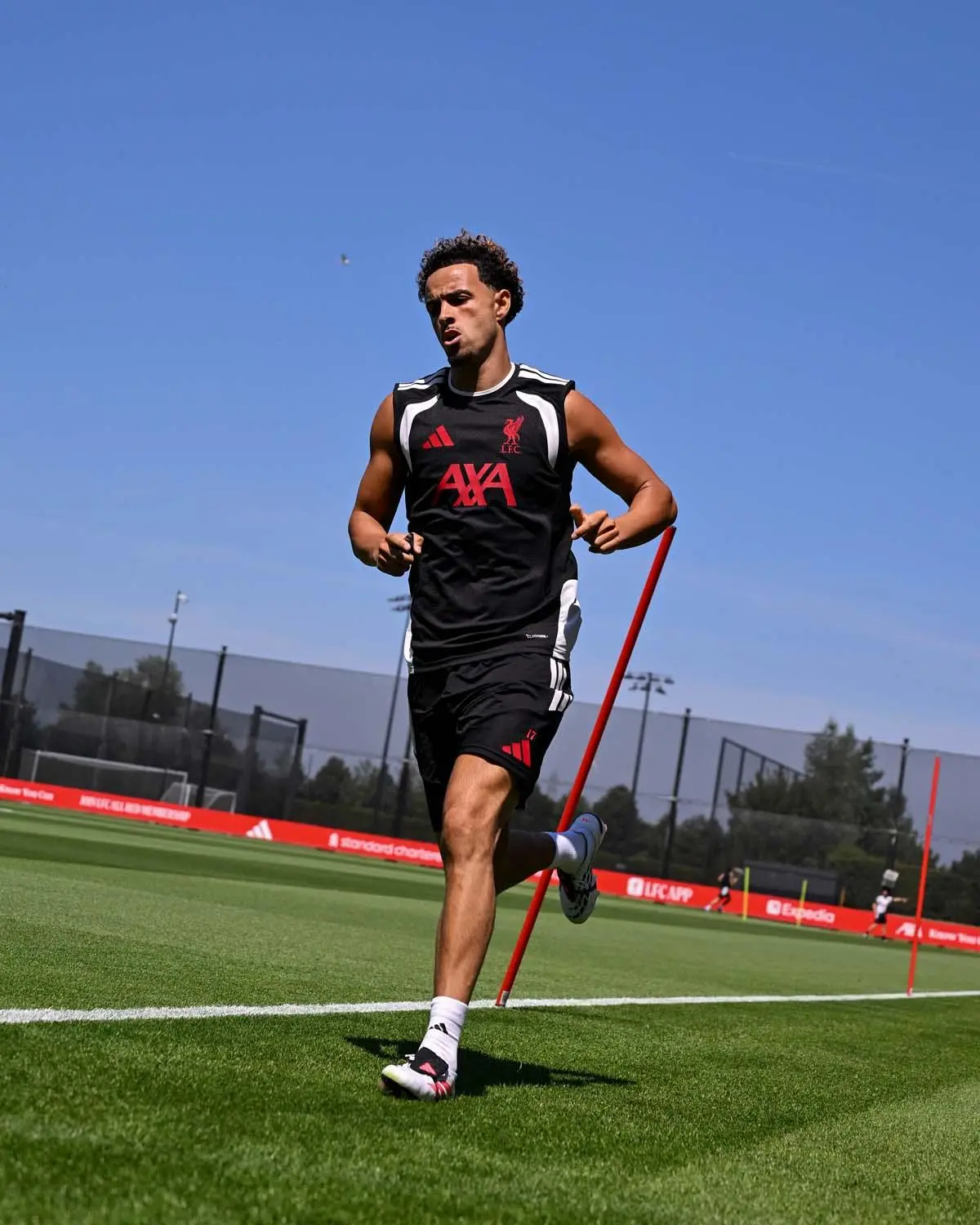 Embed (e8c3ec83-50c5-4c2e-9db2-998d7075e710)