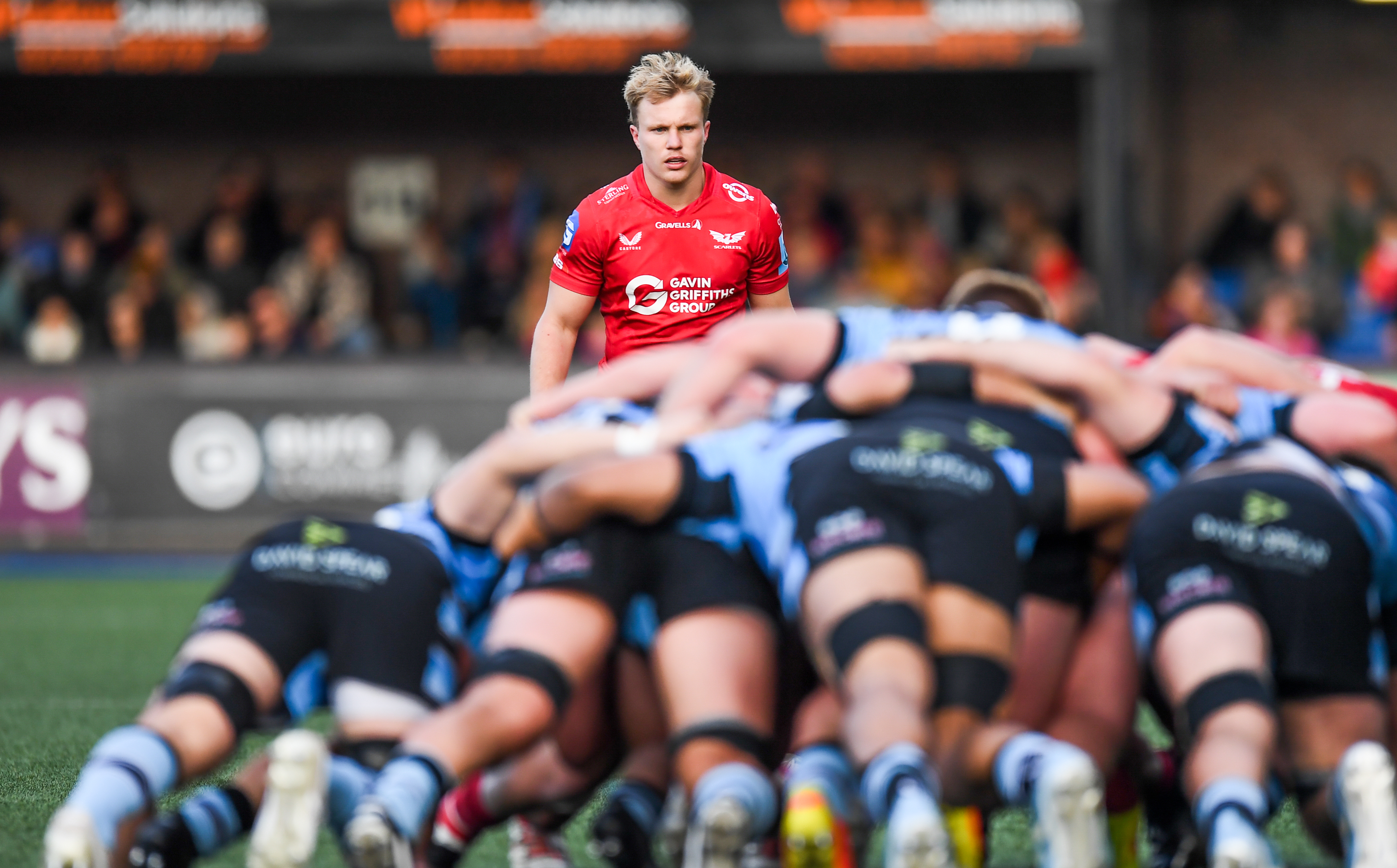 Blair Murray: The game-changer Welsh rugby needs? - undefined