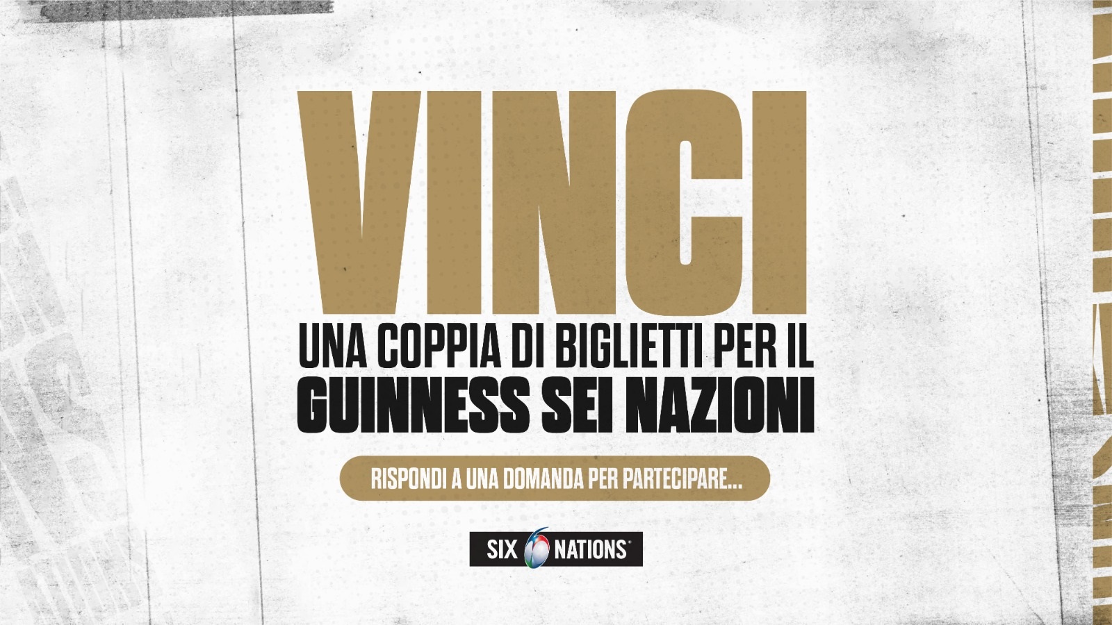 WhatsApp Image 2023-09-22 at 15.43.59