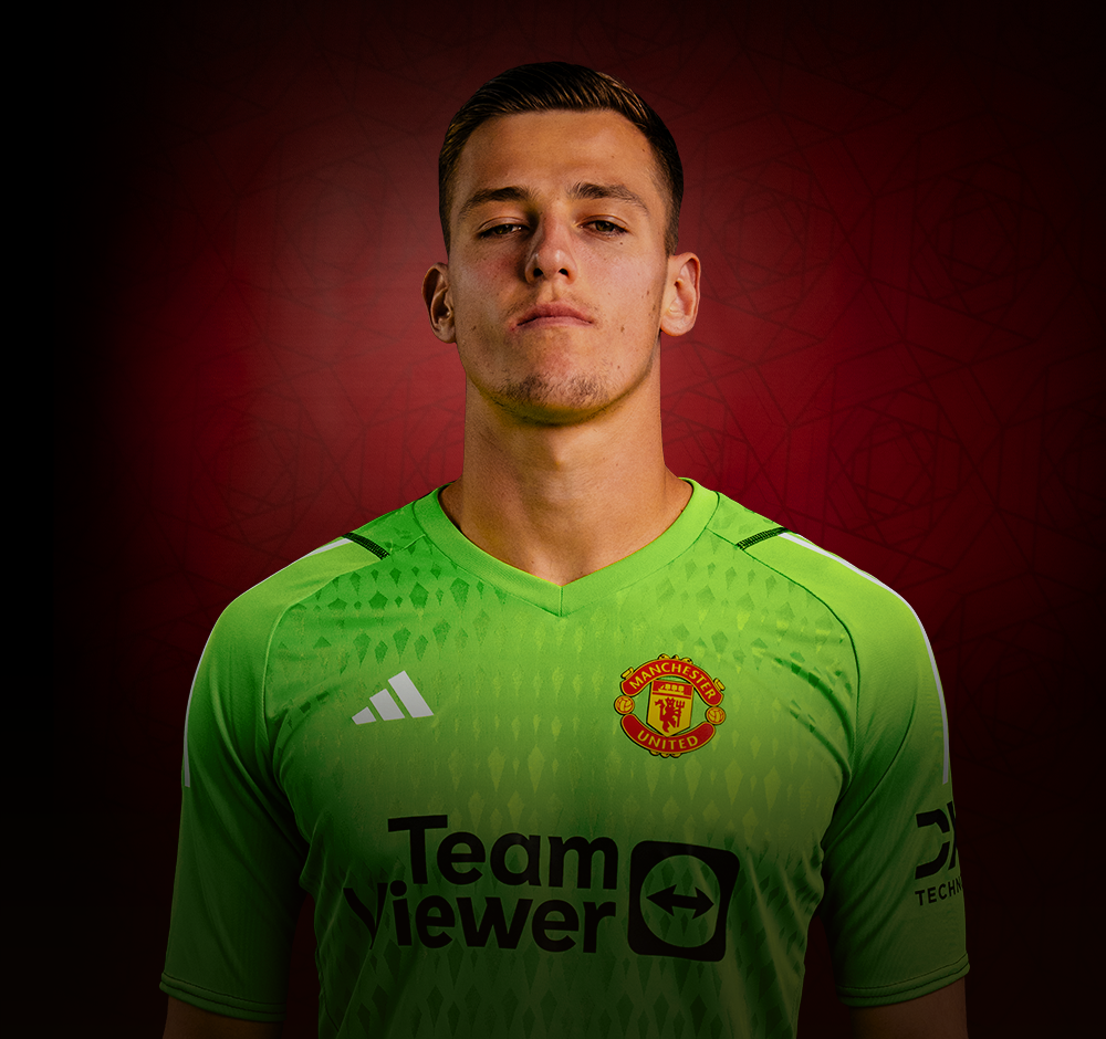 Vitek Image