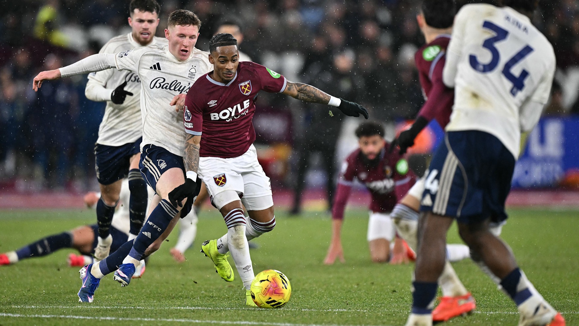 Summerville Forest report