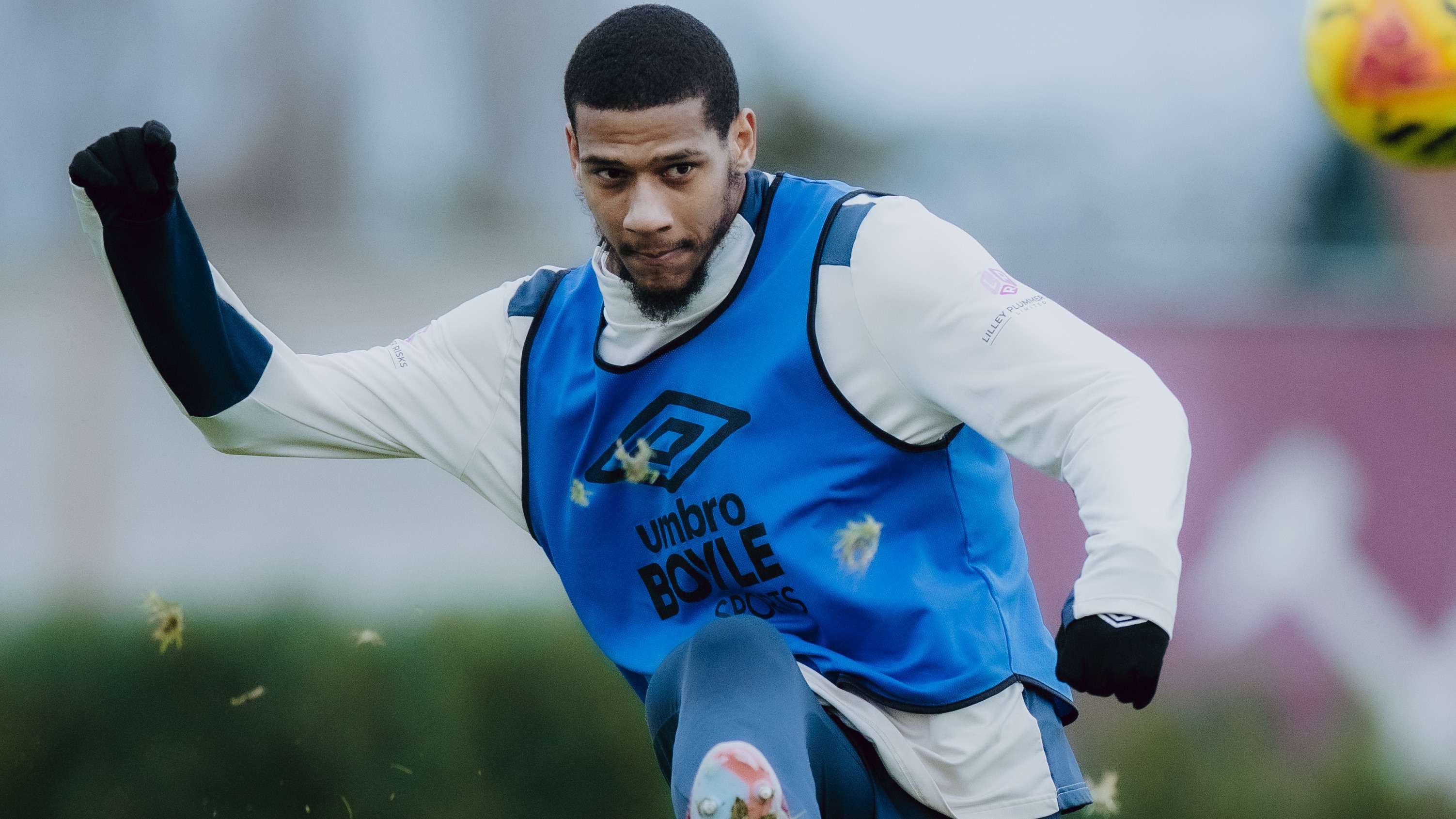 Todibo training
