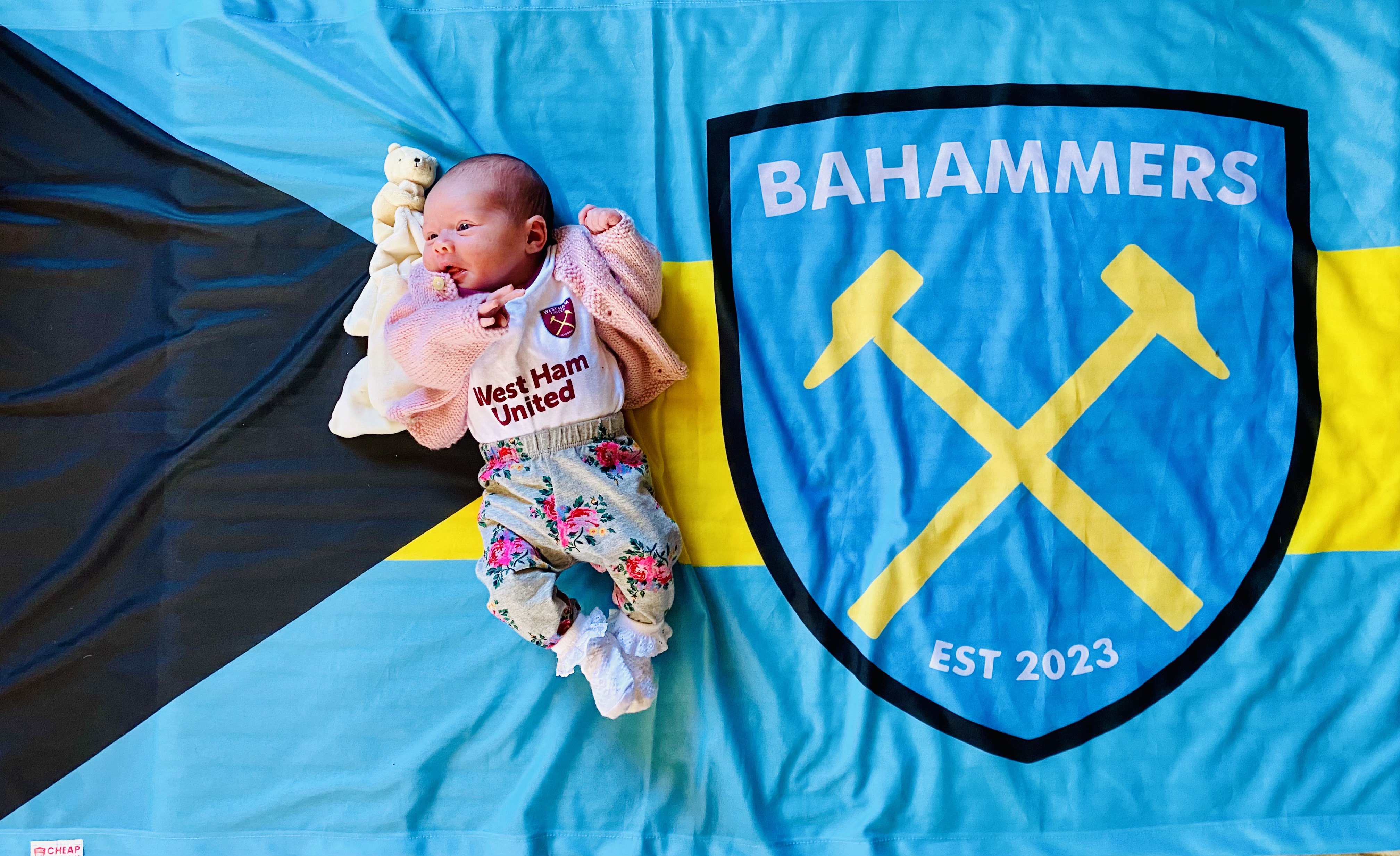 OSC | Bahammers - Image 10