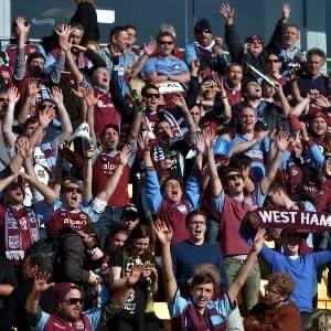 OSC | New Zealand Hammers - Image 8