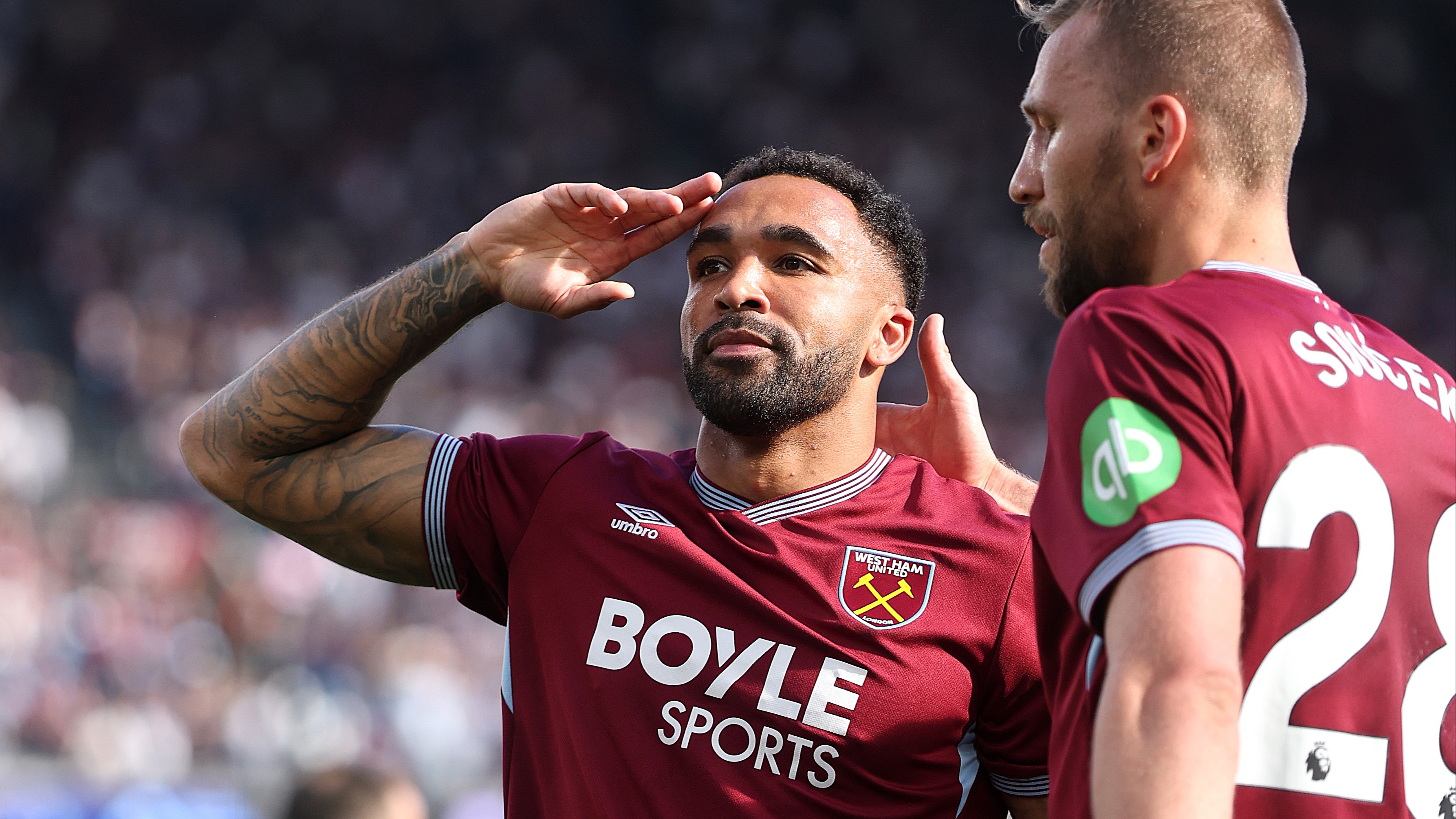 Callum Wilson celebrates his winning goal against Everton
